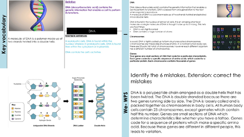 DNA and the genome | Teaching Resources