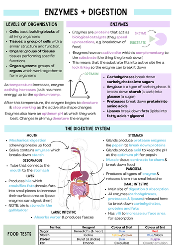 GCSE AQA Biology Organisation Notes | Teaching Resources