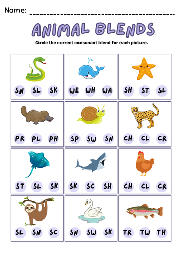 Beginning Blends Worksheets Pack Teaching Resources