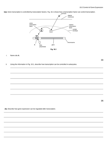 docx, 70.09 KB