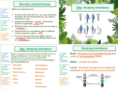 Inherited Change -  AQA A Level Biology (A2- Topic 17) -Topic bundle