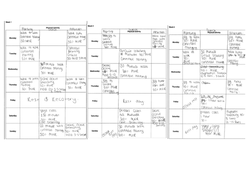 Unit 2: Fitness Training and Programming Exam Structure Guides ...