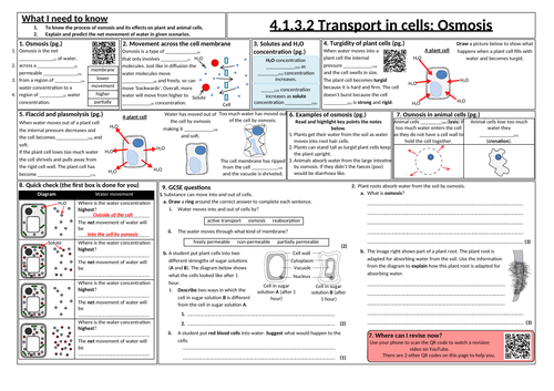 docx, 443.27 KB