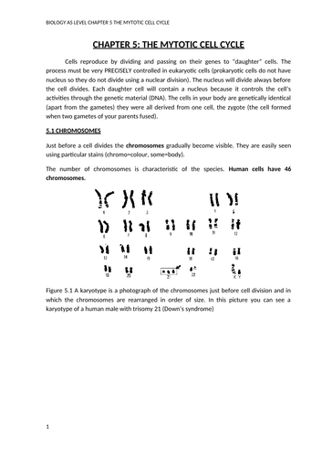 docx, 866.06 KB