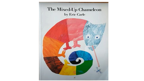 The Mixed up Chameleon Y1 12 lessons using TFW | Teaching Resources