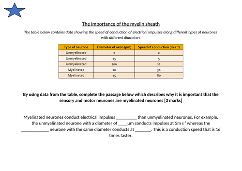 docx, 97.38 KB