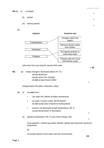 docx, 28.81 KB