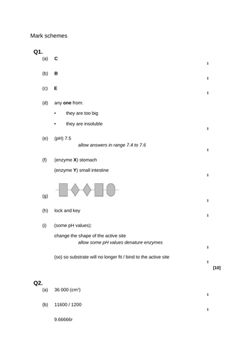 docx, 22.86 KB