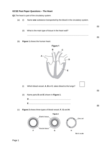 B4 Organising Animal and Plants AQA GCSE | Teaching Resources