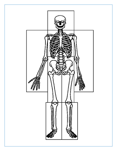 doc, 37.5 KB