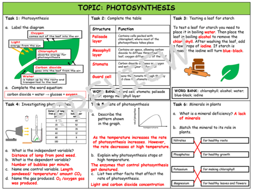 risk assessment for photosynthesis experiment