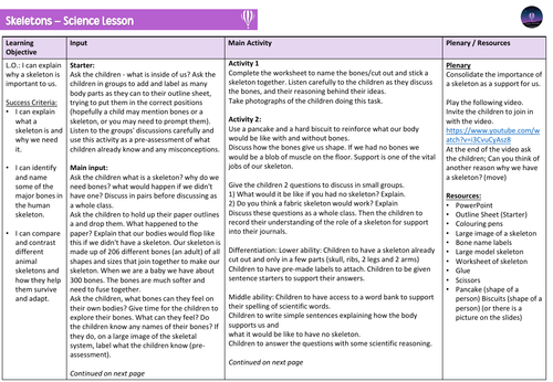 The Human Skeleton - Outstanding KS2 Science Lesson | Teaching Resources