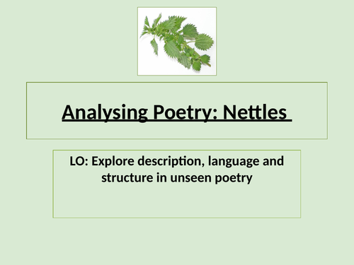 Nettles