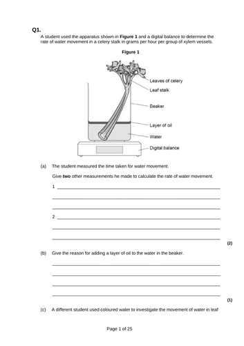 CIE 7.2 Transport Mechanisms in Plants: Water | Teaching Resources