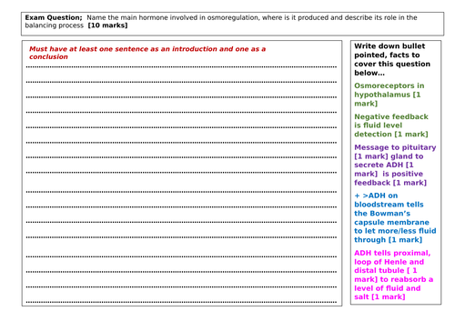 docx, 30.02 KB