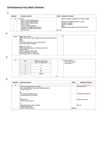 docx, 203.95 KB