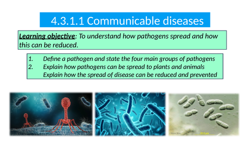 Aqa Gcse Communicable Diseases 4 3 1 1 4 3 1 5 Lesson Bundle Teaching