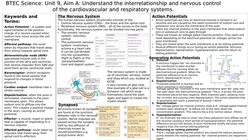 Unit 9 Aim A Knowledge Organiser