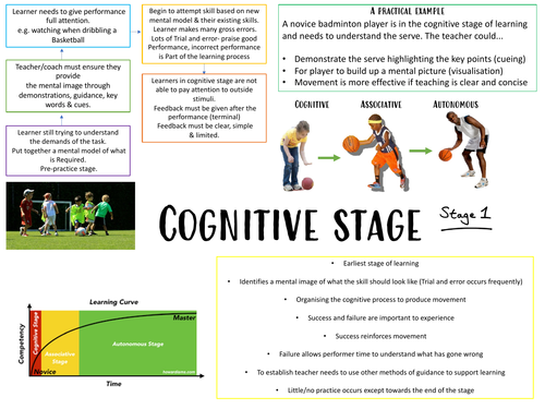 Cognitive stages of learning best sale