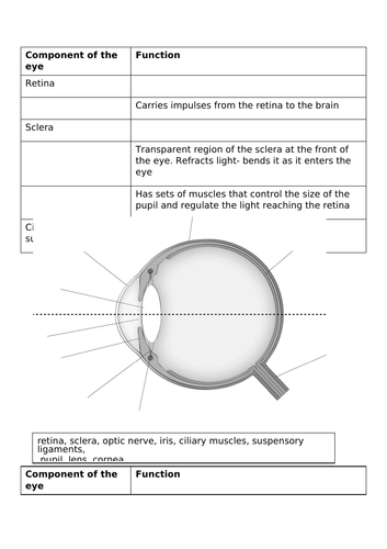 docx, 99.31 KB