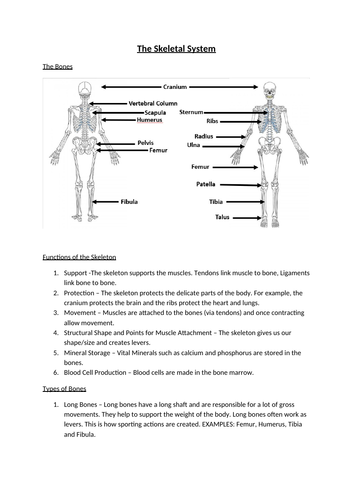 docx, 264.07 KB