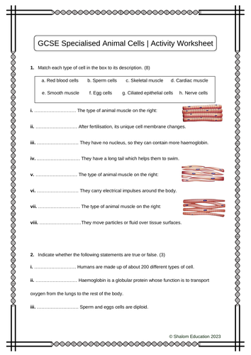 pdf, 400.91 KB