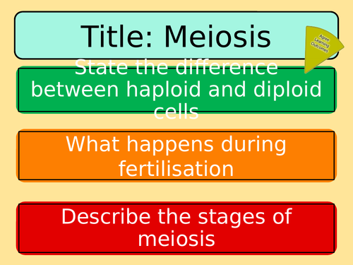 B13 2 Cell Division In Sexual Reproduction Teaching Resources