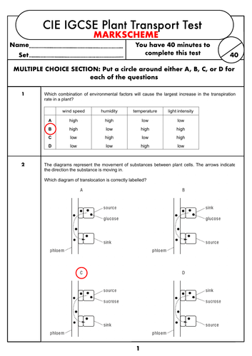 GCSE Biology Assessment on Plant Transport - Transpiration and ...