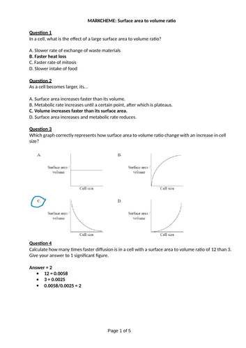 docx, 187.29 KB