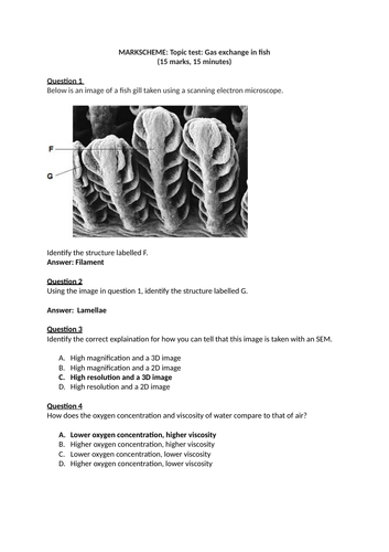 docx, 407.96 KB