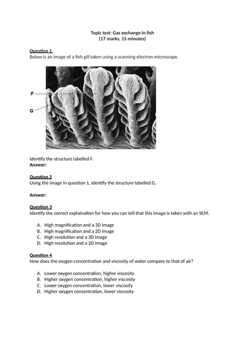 docx, 409.36 KB