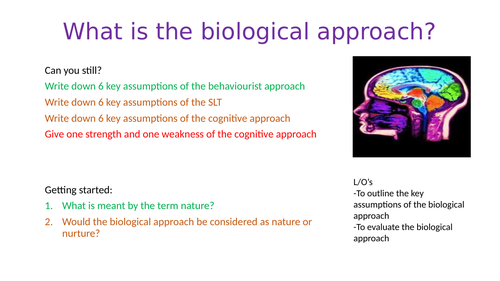 The Biological Approach - Approaches - Psychology - A-Level A/A2