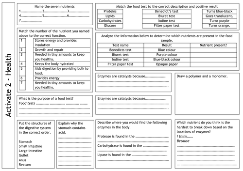 KS3 Activate 2 B1 Health Revision Mat