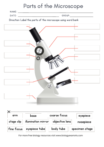 Microscope Parts Worksheet | Teaching Resources