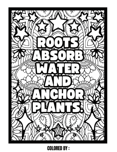 Plant Anatomy Facts Coloring Pages, Anatomy Craft, Printable Coloring ...