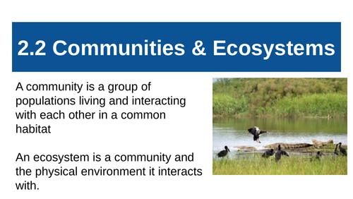 ESS 2.2 Communities and ecosystems