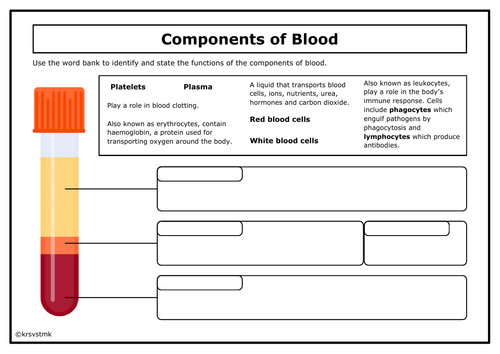 Components of Blood + Answers Included
