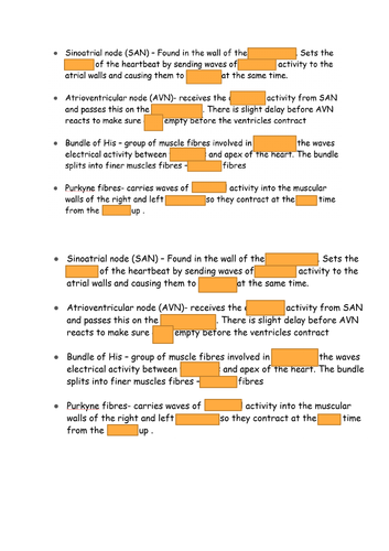 Control of Heart Rate | Teaching Resources