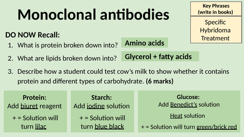Monoclonal Antibodies: GCSE Infection and Response | Teaching Resources