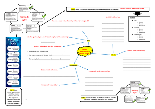 BTEC (Pearson) Unit 1 - A&P - Skeletal System [exam unit] | Teaching ...