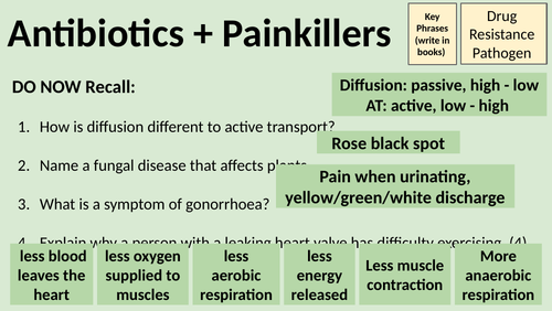 antibiotics-painkillers-gcse-infection-and-response-teaching-resources