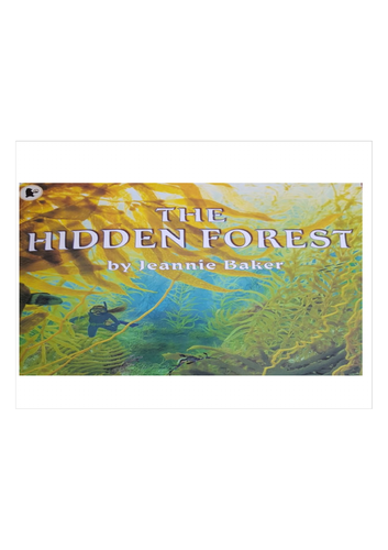 The Hidden Forest Story _ The Hidden Forest Mystery – AVMX