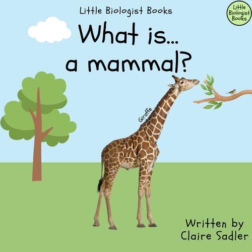 Animals, including humans Mammals | Teaching Resources