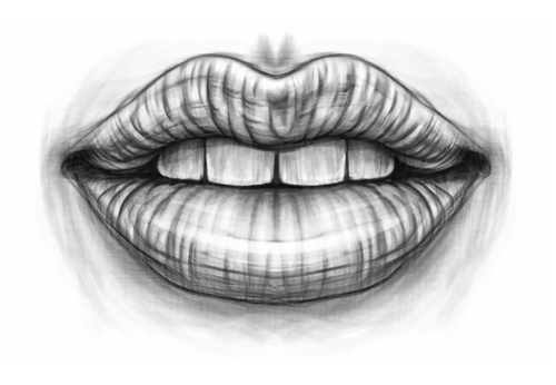 Main Human Facial Features pencil sketches (4 images of nose, mouth ...