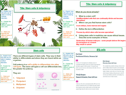 Stem cells and totipotency - AQA A Level Biology- 20. Gene expression