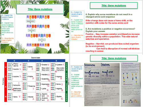 Gene mutations - AQA A Level Biology- 20. Gene expression (A2)