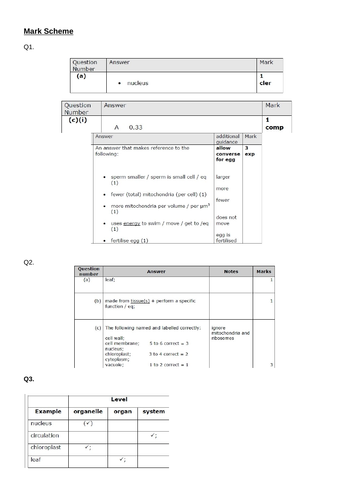 docx, 605.61 KB