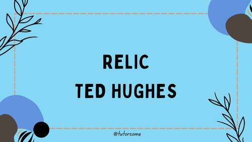 Relic - Ted Hughes GCSE CIE / Unseen Poetry | Teaching Resources