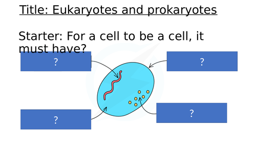 Eukaryotes prokaryotes and units of measurement lesson | Teaching Resources