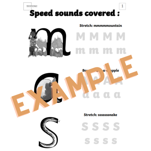 Phonics Worksheet Level 1.1 (Focused Sounds m,a,s,d,t,i,n,p,g,o